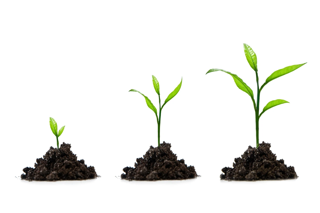 Boost SEO organically